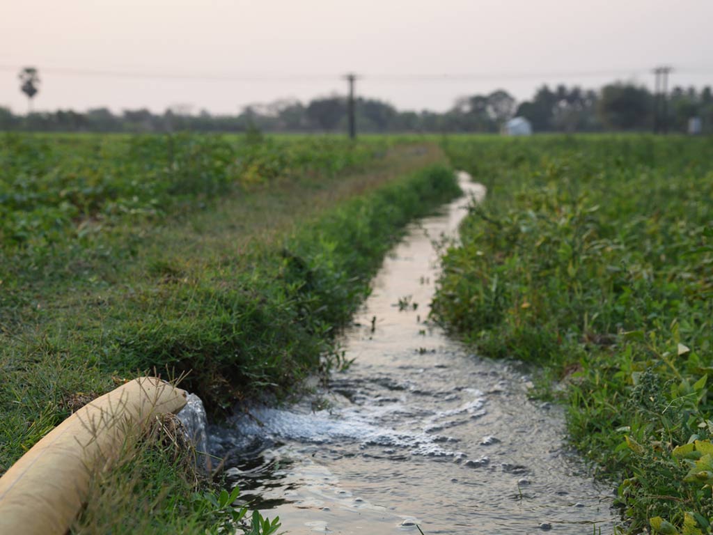 Razones por las que es urgente el tratamiento para aguas agrícolas